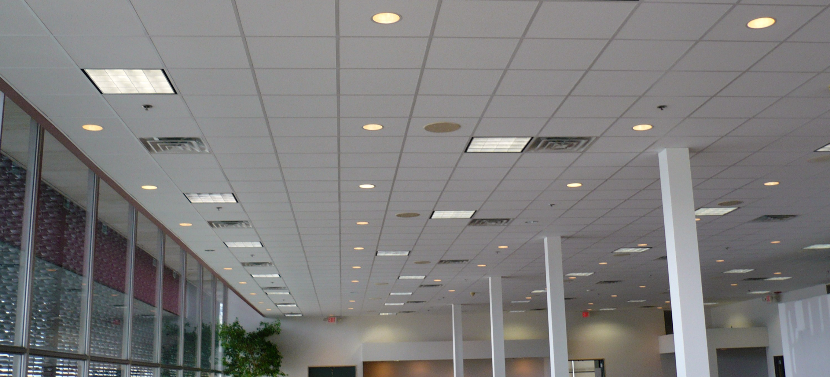 Acoustic Ceiling Company in Houston